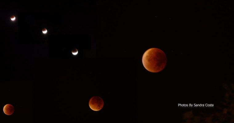 Eclipse Lunar em Sagitário!