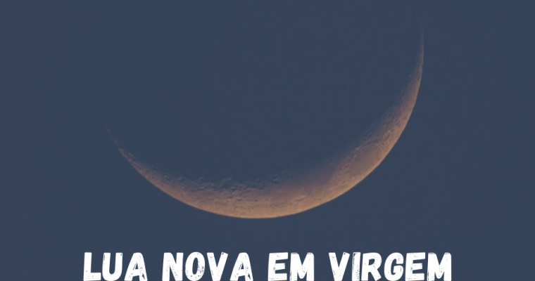 Lua Nova em Virgem
