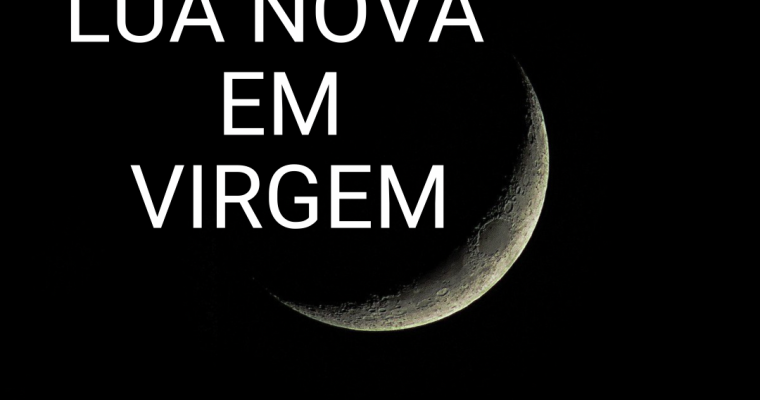 LUA NOVA EM VIRGEM
