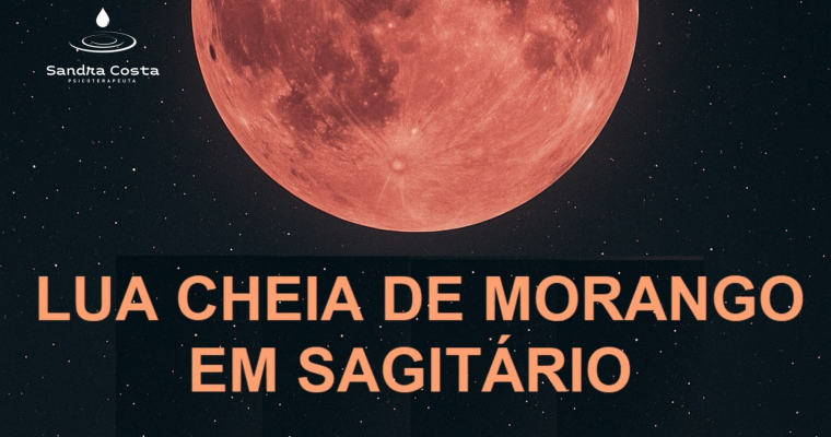 LUA CHEIA EM SAGITÁRIO