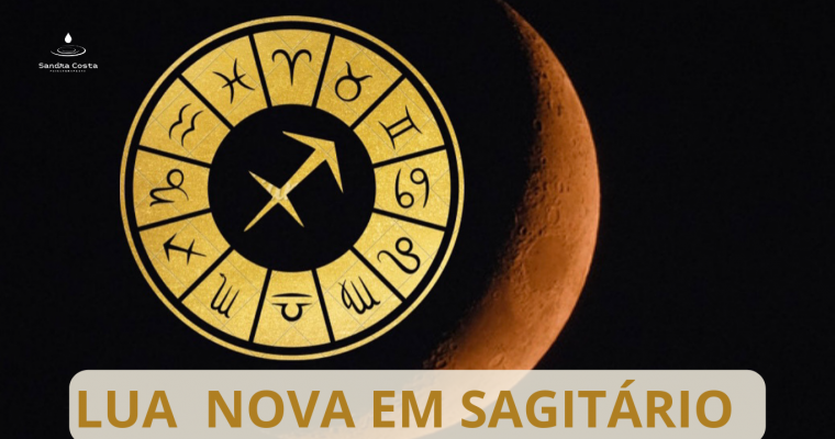 LUA NOVA EM SAGITÁRIO