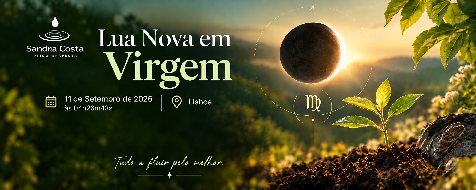 LUA NOVA EM VIRGEM